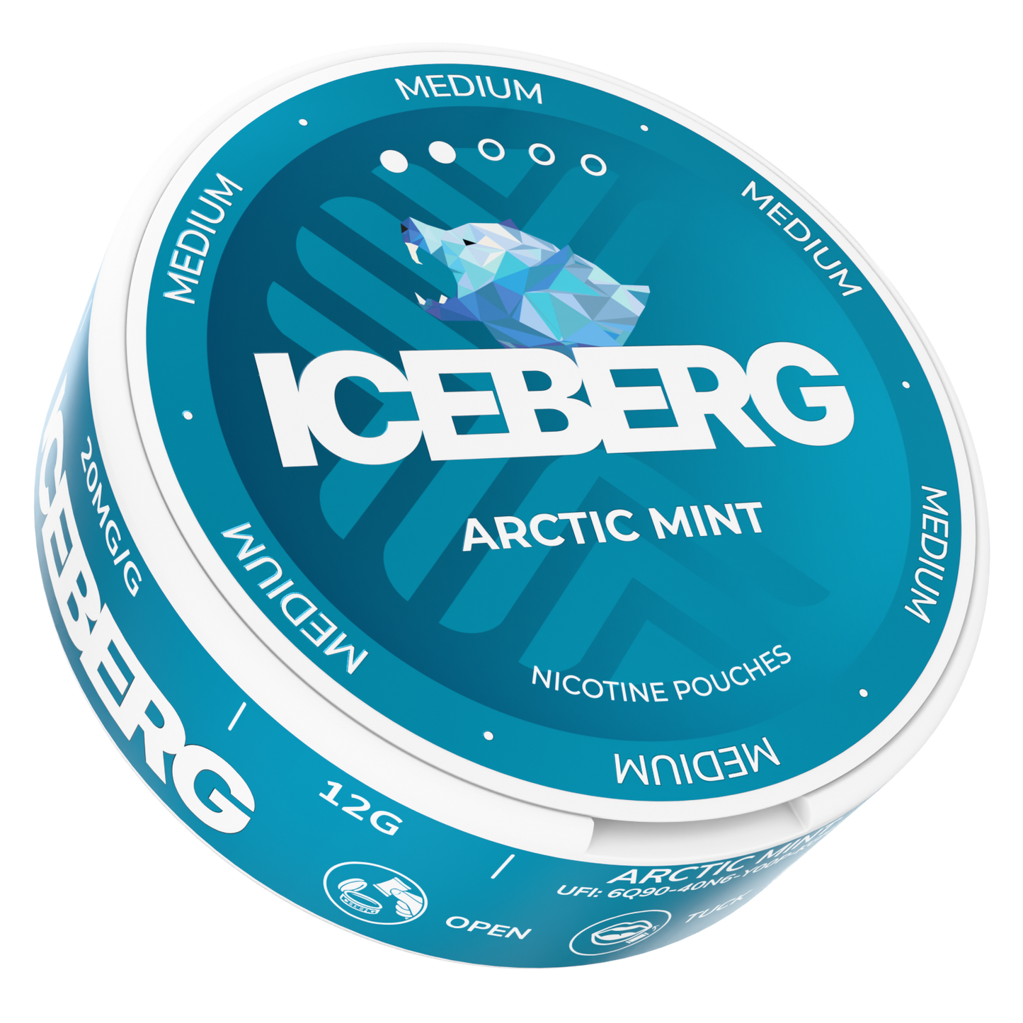 Close-up of the Iceberg Arctic Mint 20mg packaging highlighting the refreshing mint flavor.
