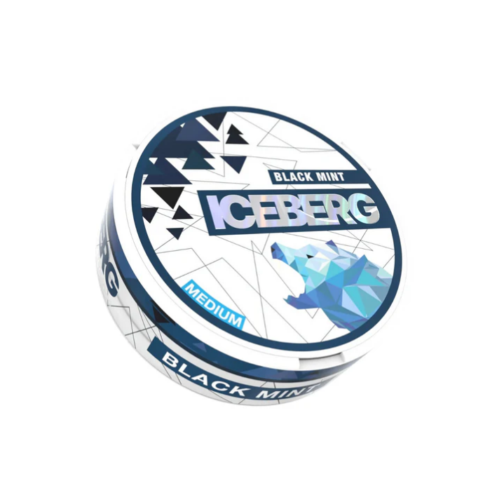 Front view of the Iceberg Black Mint 20 can showcasing its sleek design and blue mint theme.
