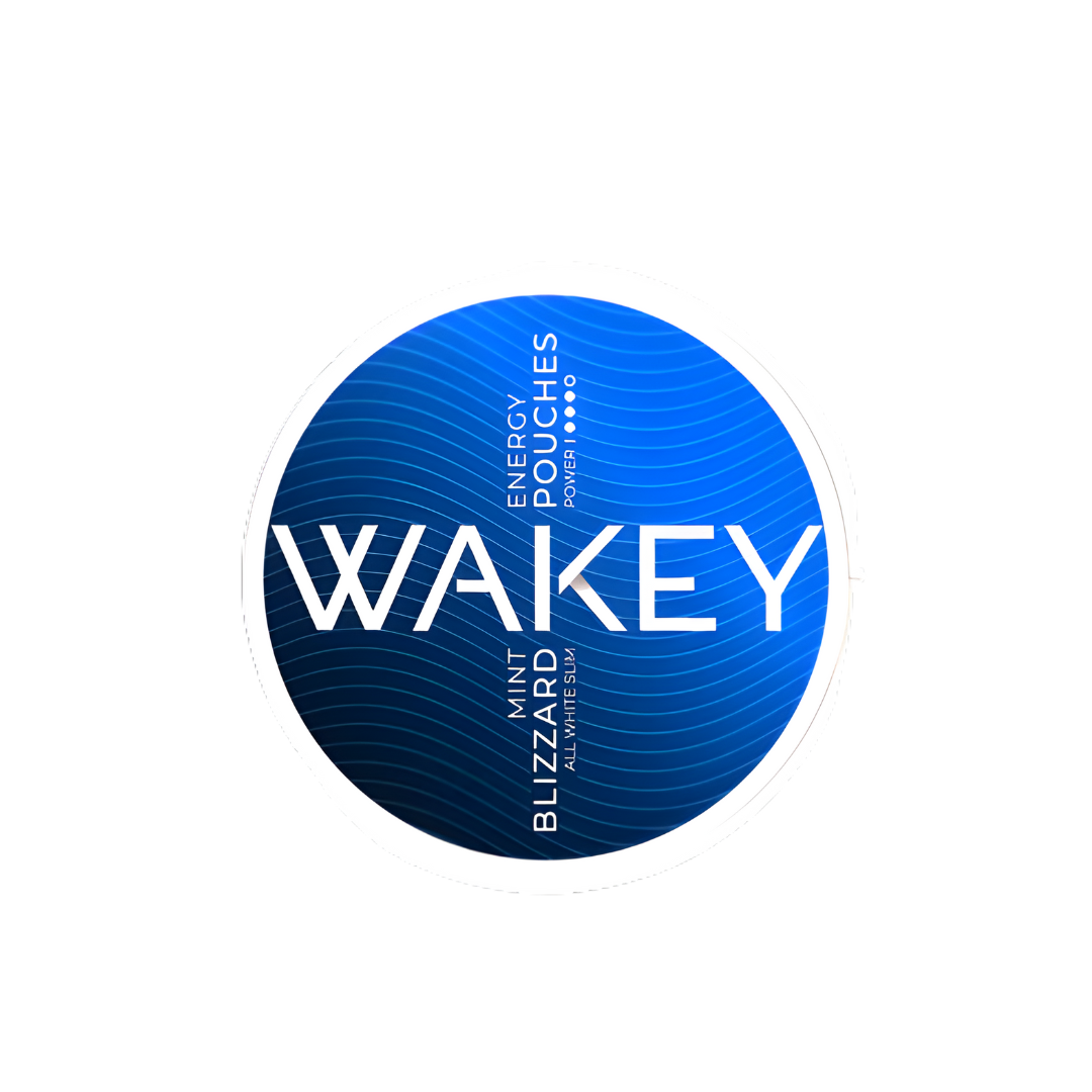 Wakey logo in a circular design featuring blue and white colors on a transparent background