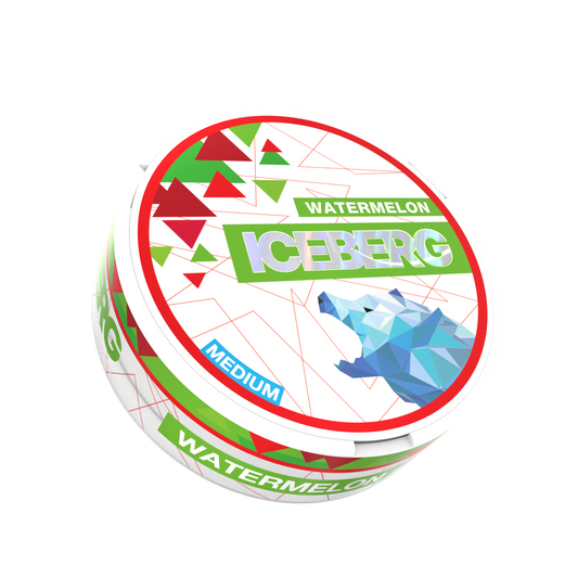 Front view of the Iceberg watermelon pouch container featuring a polar bear graphic design on a transparent background.